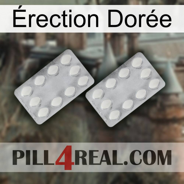 Érection Dorée 17
